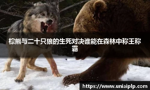 lewin乐玩官网