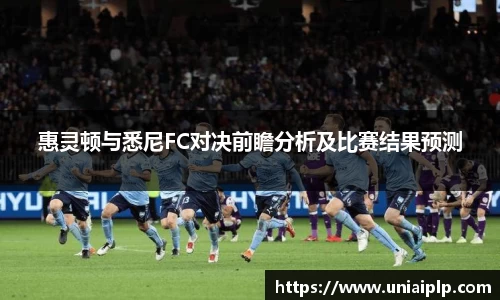 惠灵顿与悉尼FC对决前瞻分析及比赛结果预测